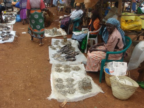 Kiboswa Market Kisumu Kenya